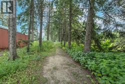 View of dirt / gravel road with a forest view - 