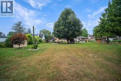 View of grassy yard - 