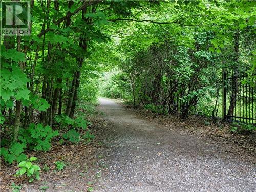 317 Winterburg Court, Waterloo, ON - Outdoor