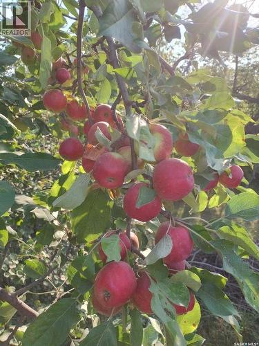 Brightholme Acreage, Leask Rm No. 464, SK -  With View