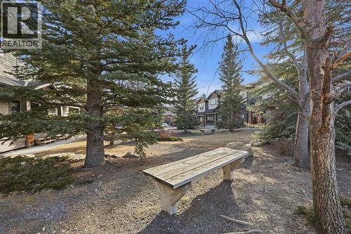 Cozy amenity space with benches and trees that looks beautiful in the summer - 117 Panatella Park Nw, Calgary, AB - Outdoor
