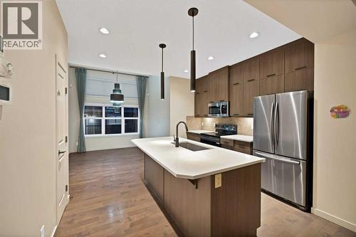 41 Red Embers Row Ne, Calgary, AB - Indoor Photo Showing Kitchen With Stainless Steel Kitchen With Upgraded Kitchen