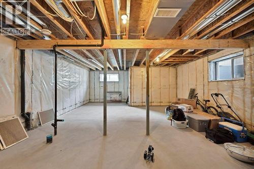 93 Saddlestone Place Ne, Calgary, AB - Indoor Photo Showing Basement