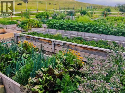 21054 A Range Road 264, Cardston, AB - Outdoor