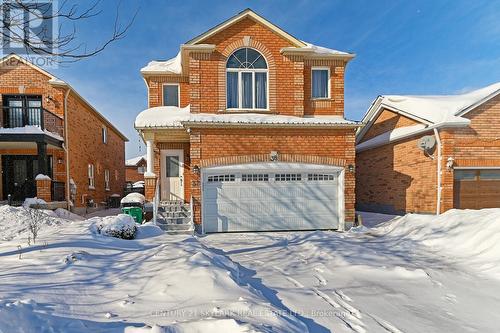 38 MAROTTA AVENUE  Brampton, ON L6X 4W9