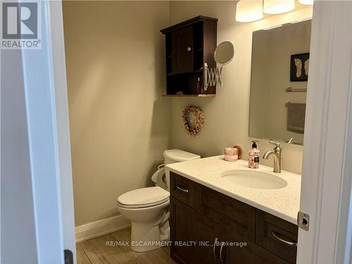 36 Bishop Sherlock Lane, Hamilton, ON - Indoor Photo Showing Bathroom