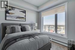 Bright primary bedroom with tray ceiling - 