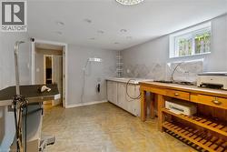 Garage converted into business. Plumbing and power. Dog grooming / hair dressing. - 