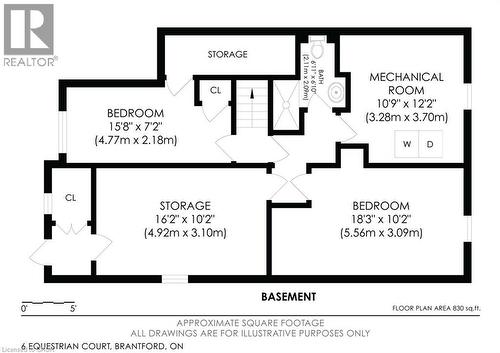 Basement - 6 Equestrian Court, Brantford, ON - Other