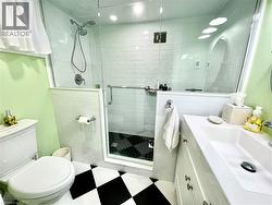 Lower level bathroom with heated floors - 