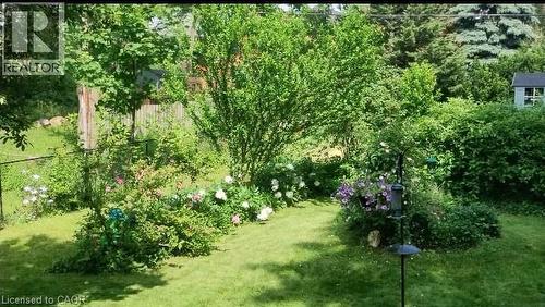 yard in summer - 25 Fairmount Avenue, Hamilton, ON - Outdoor