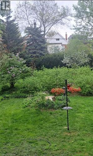 yard in summer - 25 Fairmount Avenue, Hamilton, ON - Outdoor With View