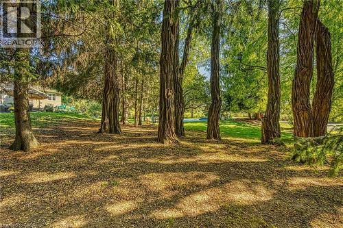 View of yard - 5590 Blind Line, Burlington, ON - Outdoor With View