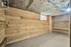 Below grade area featuring wooden walls - 