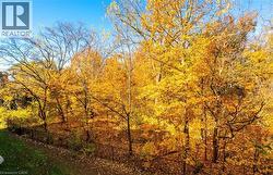 Autumn view from balcony & primary bedroom. - 