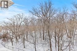 Winter view from balcony & primary bedroom. - 