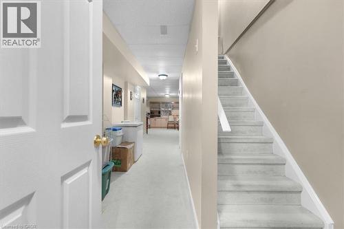 Staircase featuring carpet floors - 75 Marisa Street, Kitchener, ON - Indoor Photo Showing Other Room
