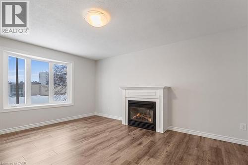 67 Old Carriage Drive, Kitchener, ON - Indoor Photo Showing Other Room With Fireplace
