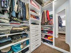 Spacious closet featuring dark carpet - 