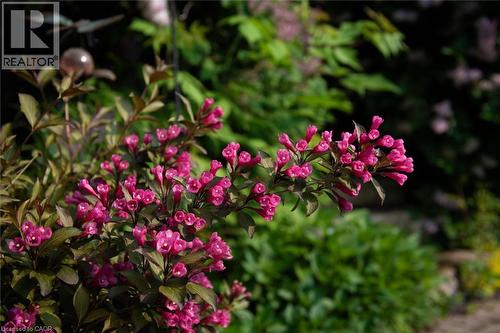 2338 Norland Drive, Burlington, ON - Outdoor