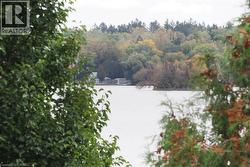 Water view with a forest - 