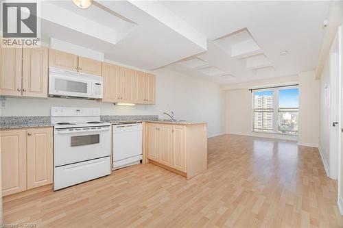 135 James Street S Unit# 1605, Hamilton, ON - Indoor Photo Showing Kitchen With Double Sink