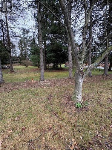 Front. - 152 Mccall Crescent, Simcoe, ON 