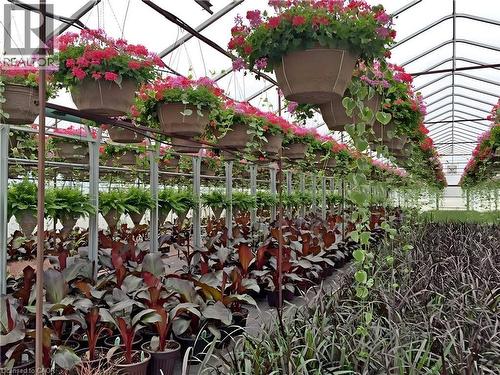 1101 Derry Road, Milton, ON 