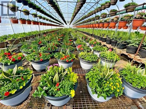 1101 Derry Road, Milton, ON 