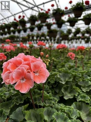 1101 Derry Road, Milton, ON 