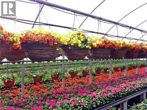 1101 Derry Road, Milton, ON 