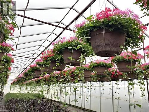 1101 Derry Road, Milton, ON 