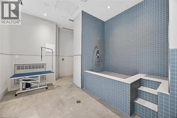 pet wash - 