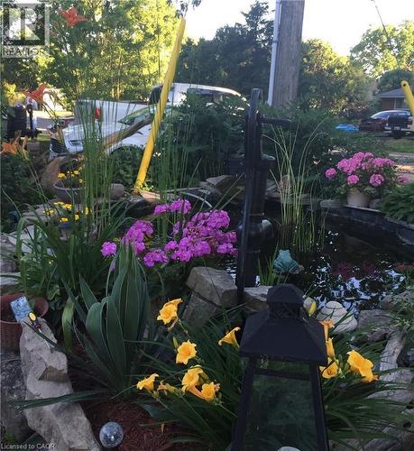 Front Garden - 430 Winniett Street, Caledonia, ON - Outdoor