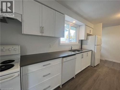 121 Markwood Drive, Kitchener, ON - Indoor Photo Showing Kitchen With Double Sink
