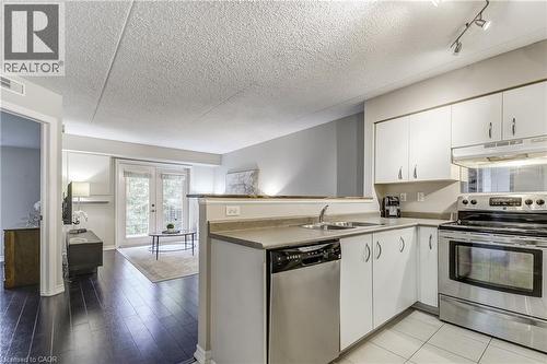2055 Appleby Line Unit# 103, Burlington, ON - Indoor Photo Showing Kitchen With Double Sink