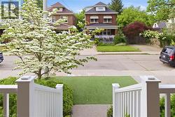 That Dogwood is a neighbourhood favourite - 
