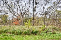 View of tree filled area - 