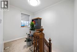 Hallway with carpet, an upstairs landing, and crown molding - 
