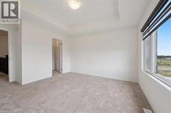 Unfurnished bedroom featuring a tray ceiling, light carpet, and a spacious closet - 