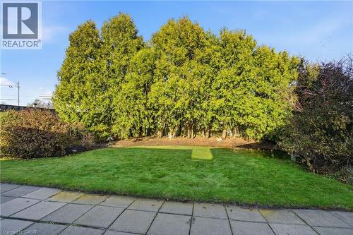 38 Coral Drive, Hamilton, ON - Outdoor