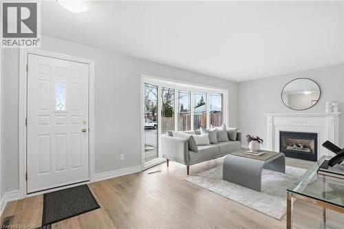 38 Coral Drive, Hamilton, ON - Indoor Photo Showing Living Room With Fireplace