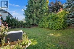 View of grassy yard - 