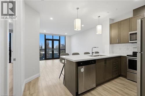 101 Locke Street S Unit# 309, Hamilton, ON - Indoor Photo Showing Kitchen With Double Sink With Upgraded Kitchen