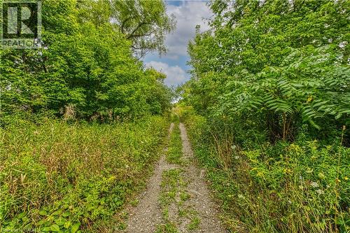 60B Talbot Road, Canfield, ON 