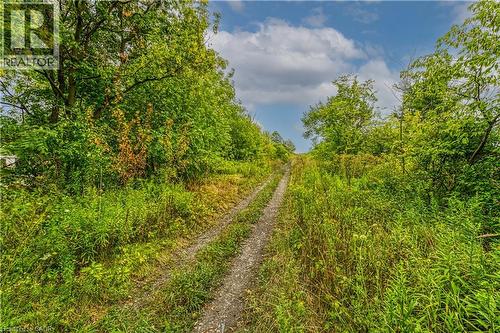 60B Talbot Road, Canfield, ON 