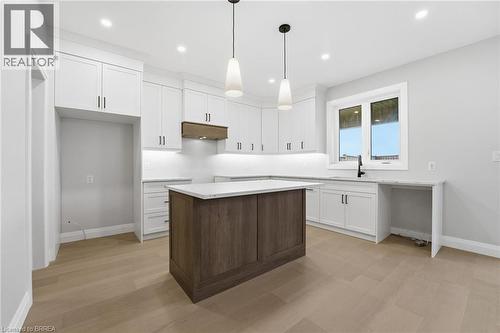 102 Oak Avenue, Paris, ON - Indoor Photo Showing Kitchen With Upgraded Kitchen