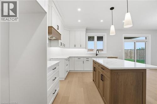 102 Oak Avenue, Paris, ON - Indoor Photo Showing Kitchen With Upgraded Kitchen