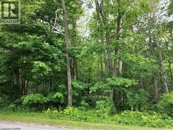 PT LOT 20 7 CONCESSION  Simcoe, ON N3Y 4K1