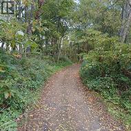 View of the trails with a forest view - 